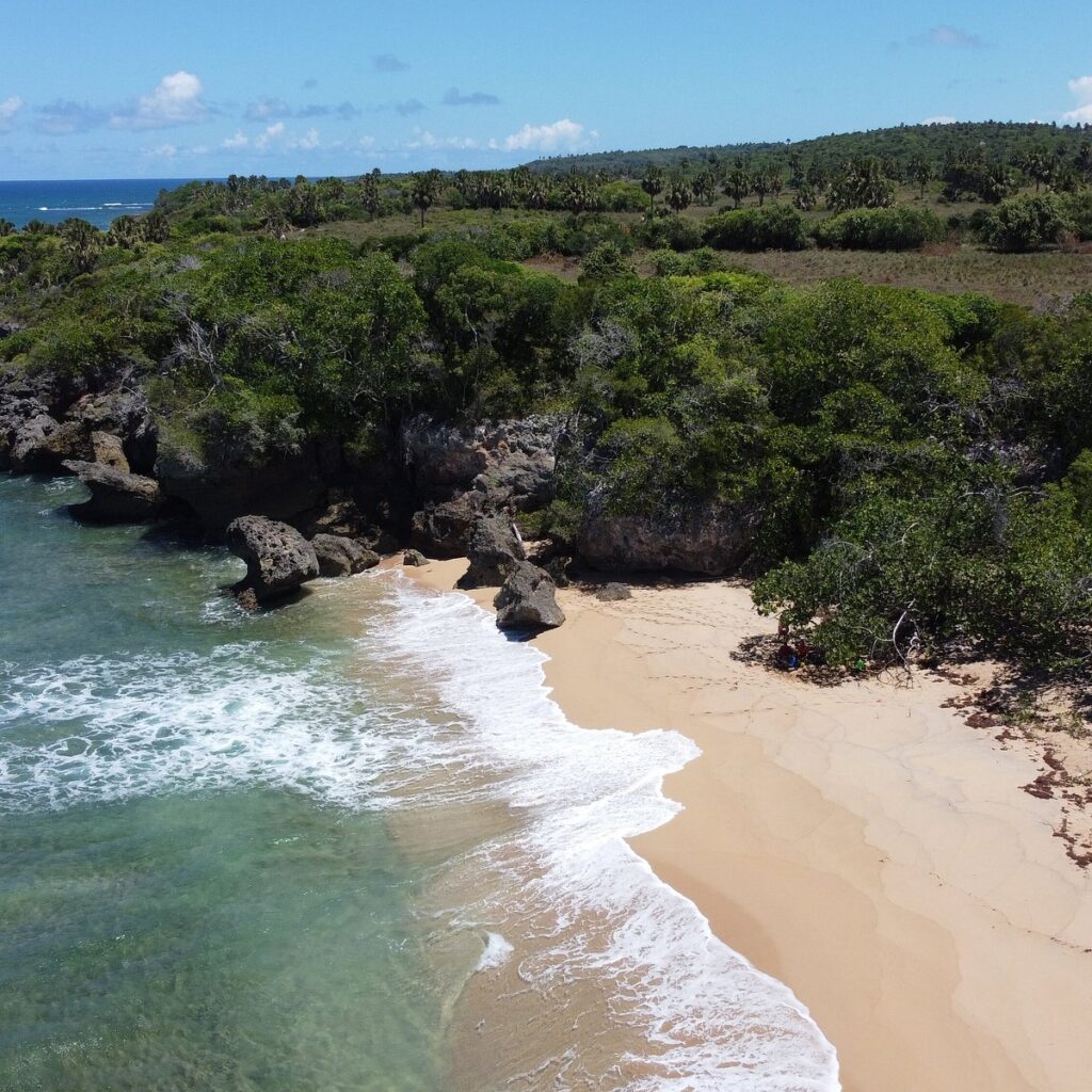 Playa la ballena